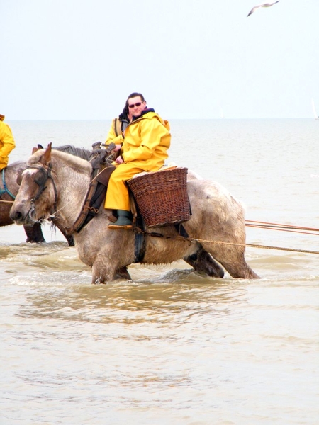 2016_04_02 Oostduinkerke 091