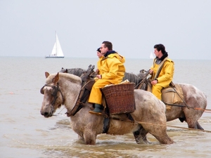 2016_04_02 Oostduinkerke 092