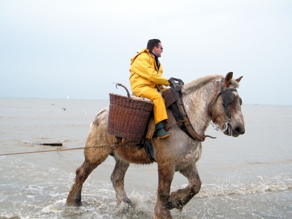 paardenvissers oostduinkerke