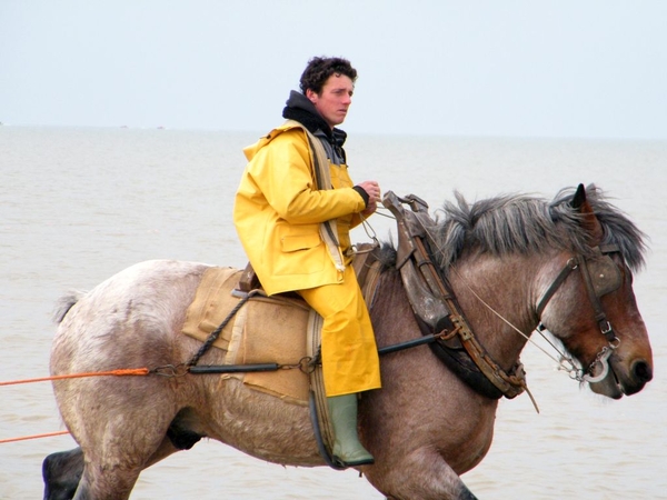 paardenvissers oostduinkerke