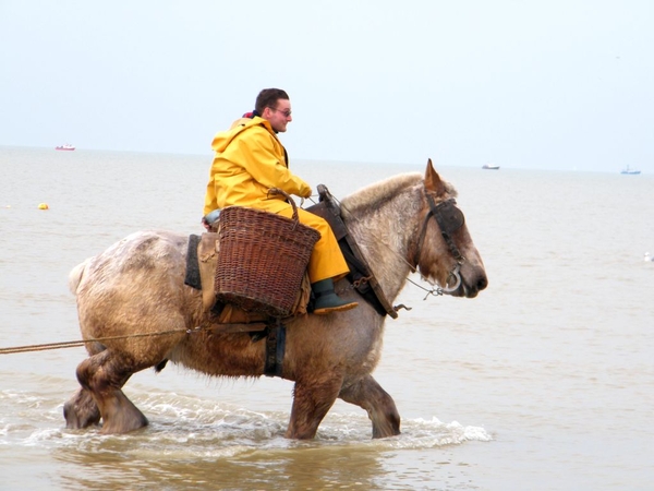 paardenvissers oostduinkerke