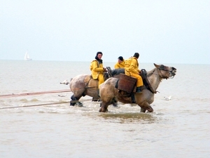 2016_04_02 Oostduinkerke 099