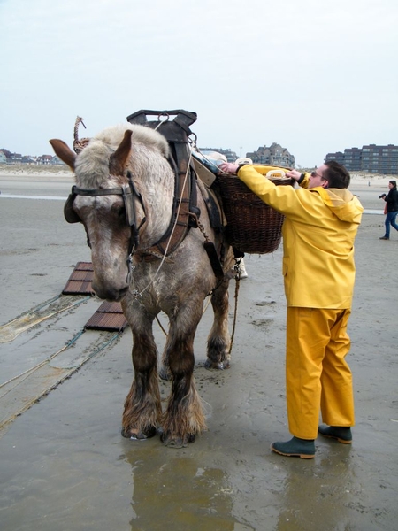 paardenvissers oostduinkerke