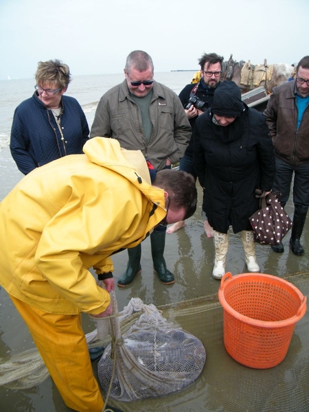 paardenvissers oostduinkerke