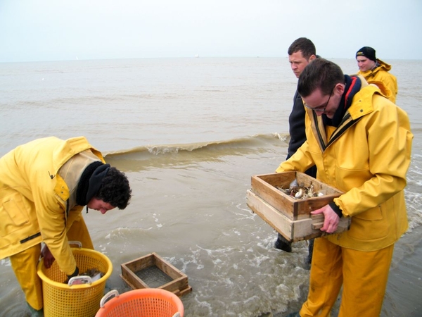 paardenvissers oostduinkerke