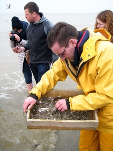 2016_04_02 Oostduinkerke 105