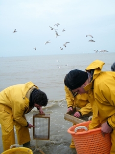 2016_04_02 Oostduinkerke 106