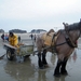 2016_04_02 Oostduinkerke 110