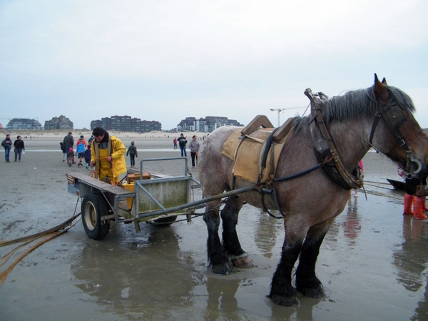 2016_04_02 Oostduinkerke 110