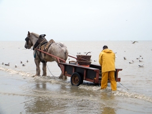 2016_04_02 Oostduinkerke 116