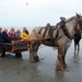 2016_04_02 Oostduinkerke 119