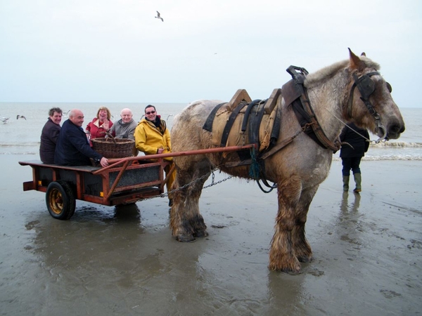 paardenvissers oostduinkerke