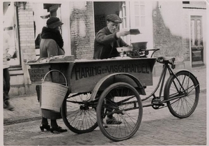 3e Van den Boschstraat  viskar Bezuidenhout