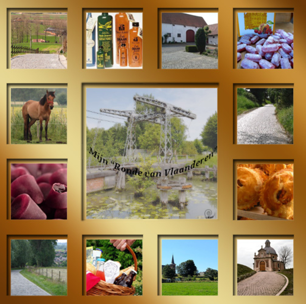 aa project 31.1 Ronde van Vlaanderen