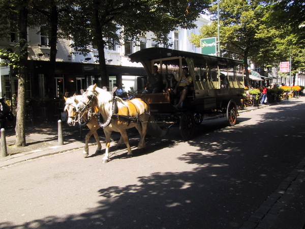 Rondrit met Paarden op de Parade