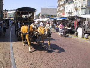 Rondrit met Paarden