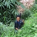 De zwarte Hmong in de streek rond Sapa