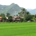 Mai Chau dorp van de witte Thai