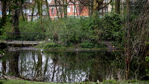 Roeselare-Park-Vandewalle-8-4-2016