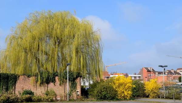 Roeselare-Park-Vandewalle-8-4-2016