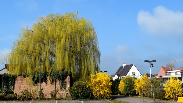 Roeselare-Park-Vandewalle-8-4-2016