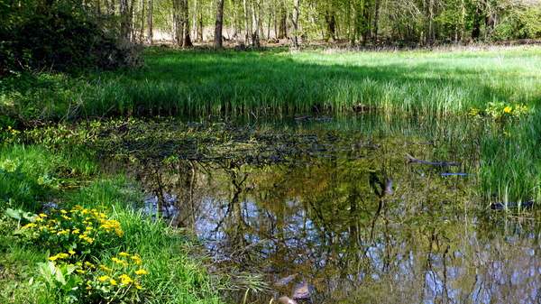 RUMBEKE & STERREBOSDOMEIN-19-4-2016