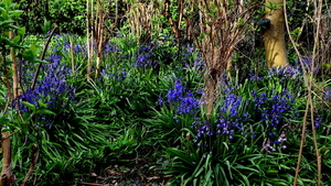 Stadspark-Roeselare-21-4-2016