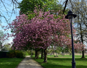 Stadspark-Roeselare-21-4-2016