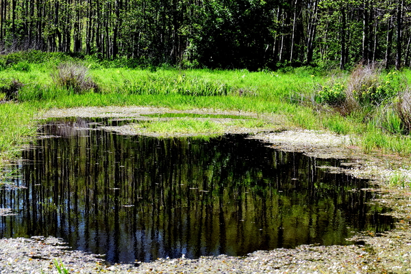 Kachtem-Rhodesgoed-3-5-2016