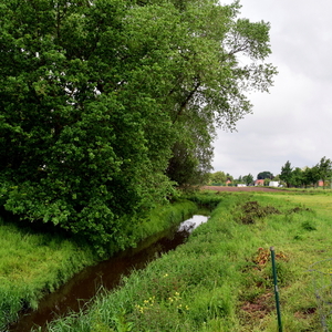 Roeselare-Schiervelde-23-5-2016-