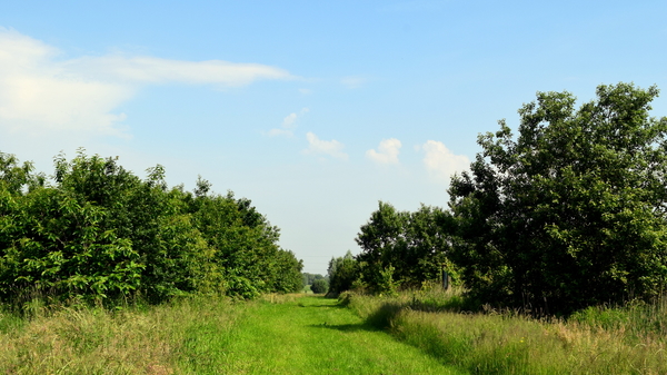 Oude spoorlijn Roeselare-Ieper(Fietsroute)5