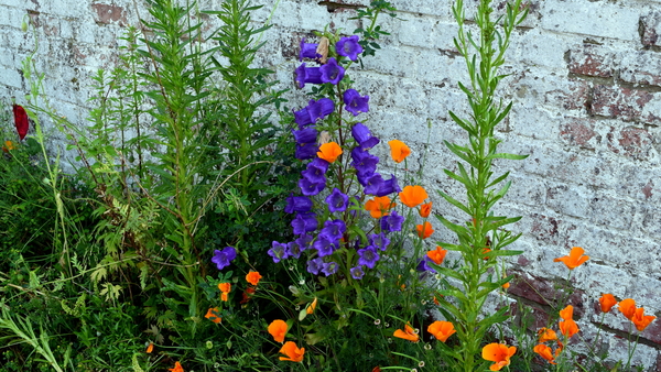 Oude spoorlijn Roeselare-Ieper(Fietsroute)20