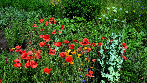 Oude spoorlijn Roeselare-Ieper(Fietsroute)21