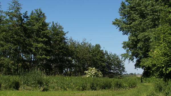 Rhodesgoed-Kachtem-9-6-2016-10