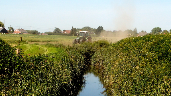 Rhodesgoed-Kachtem-9-6-2016-12