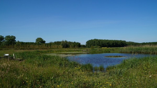 Rhodesgoed-Kachtem-9-6-2016-21