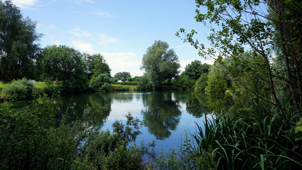 Hoogelede-3-7-2016-(vosseberg)