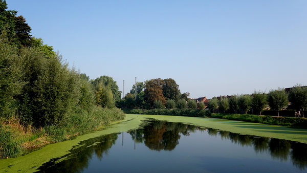 Sebastiaanspark-Roeselare-15-9-2016