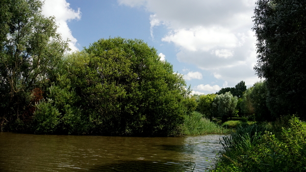 Roeselare-Schiervelde-6-8-2016