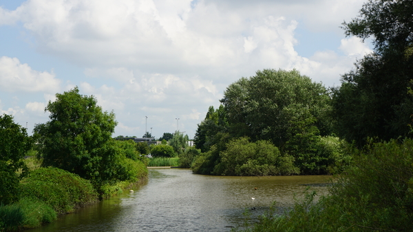 Roeselare-Schiervelde-6-8-2016