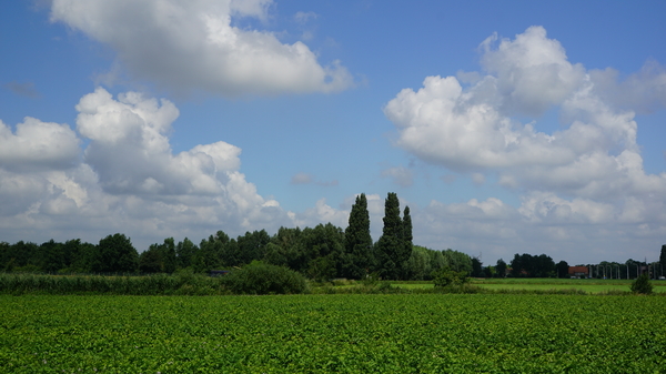 Roeselare-Schiervelde-6-8-2016