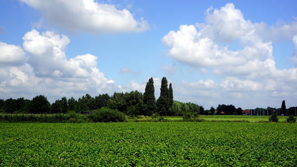 Roeselare-Schiervelde-6-8-2016