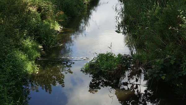 Roeselare-Schiervelde-6-8-2016