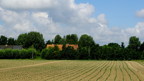 Roeselare-Schiervelde-6-8-2016