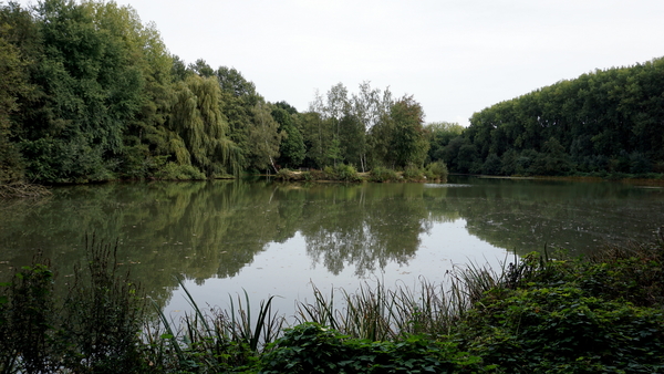 Veld-Ardooie-3-10-2016