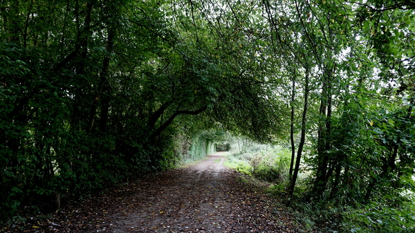 Veld-Ardooie-3-10-2016