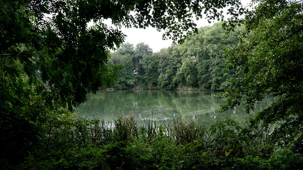 Veld-Ardooie-3-10-2016