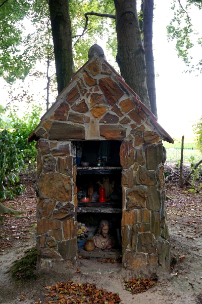 Veld-Ardooie-3-10-2016