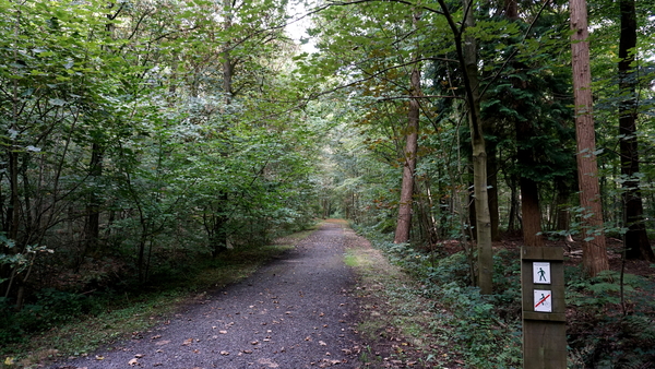 Houthulst-Vrijbos-23-9-2016