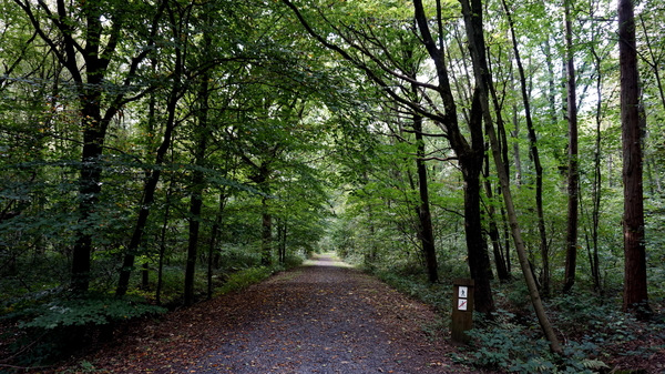 Houthulst-Vrijbos-23-9-2016